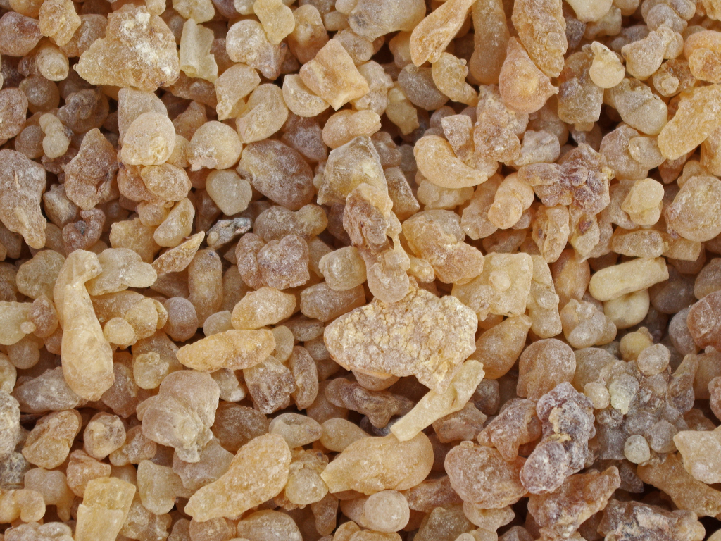 Frankincense resin pieces.